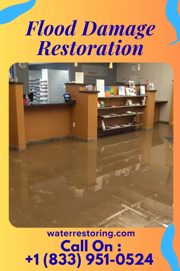 Flood Damage Restoration in Mount Pulaski, IL