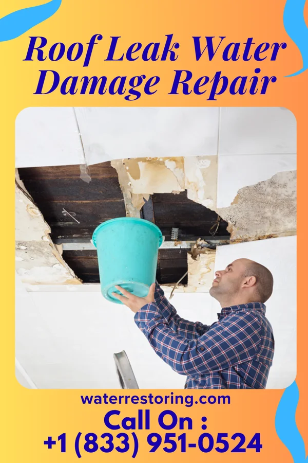 Roof Leak Water Damage Repair in Mount Pulaski, IL